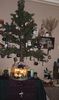 Имя файла=211211.jpg
Размер файла=68КБ
Размеры=414x700
Дата=Дек 30, 2017 211211.jpg