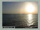 Имя файла=egypt_004.jpg
Размер файла=39КБ
Размеры=450x338
Дата=Июнь 21, 2004 egypt_004.jpg