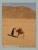 Имя файла=egypt_008.jpg
Размер файла=40КБ
Размеры=338x450
Дата=Июнь 21, 2004 egypt_008.jpg