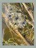 Имя файла=frog_album0012.jpg
Размер файла=60КБ
Размеры=338x450
Дата=Май 13, 2004 frog_album0012.jpg