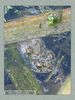 Имя файла=frog_album0018.jpg
Размер файла=60КБ
Размеры=338x450
Дата=Май 13, 2004 frog_album0018.jpg