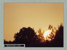 Имя файла=nature_0024.jpg
Размер файла=31КБ
Размеры=450x338
Дата=Янв 13, 2004 nature_0024.jpg