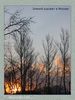 Имя файла=nature_0048.jpg
Размер файла=67КБ
Размеры=338x450
Дата=Фев 15, 2004 nature_0048.jpg