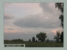 Имя файла=nature_0057.jpg
Размер файла=35КБ
Размеры=450x338
Дата=Окт 18, 2006 nature_0057.jpg