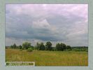 Имя файла=nature_0060.jpg
Размер файла=43КБ
Размеры=450x338
Дата=Окт 18, 2006 nature_0060.jpg