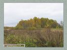 Имя файла=nature_0067.jpg
Размер файла=54КБ
Размеры=450x338
Дата=Окт 18, 2006 nature_0067.jpg