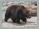 Имя файла=moscow_zoo_0016.jpg
Размер файла=55КБ
Размеры=450x338
Дата=Май 01, 2004 moscow_zoo_0016.jpg