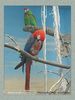 Имя файла=moscow_zoo_0027.jpg
Размер файла=47КБ
Размеры=338x450
Дата=Май 01, 2004 moscow_zoo_0027.jpg
