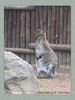 moscow_zoo_005.jpg