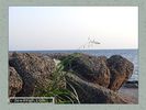 Имя файла=P1020440.jpg
Размер файла=56КБ
Размеры=450x338
Дата=Сент 14, 2007 P1020440.jpg
