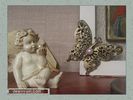 Имя файла=angel_new_year_099.jpg
Размер файла=69КБ
Размеры=450x338
Дата=Дек 25, 2011 angel_new_year_099.jpg