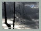 Имя файла=2007_0011.jpg
Размер файла=69КБ
Размеры=450x338
Дата=Янв 21, 2007 2007_0011.jpg