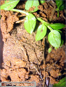 ������� ����!!!