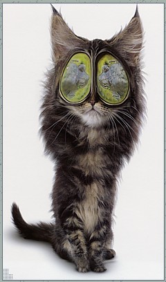 ������ � �������