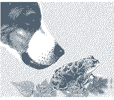 �������. "����� ������"