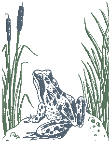 ������ �������