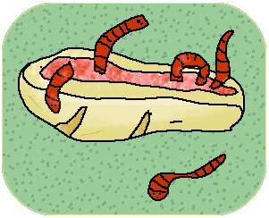 ������� ��� ���