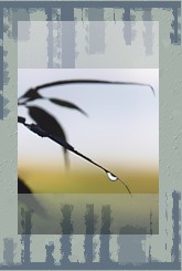 ���� � ��������