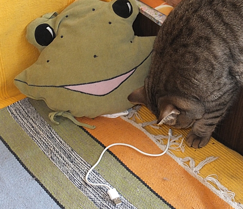 Изображение